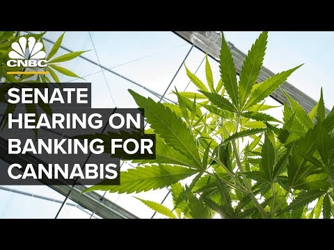 Senate hearing on cannabis trade and banking challenges – 07/23/2019